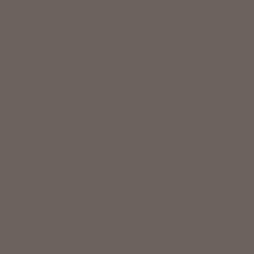 Paint swatch in a deep brown-grey